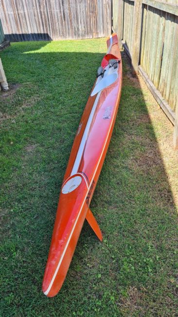 Surfski- dolphin dominator